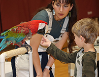  STEAM Camp at Singing Hills